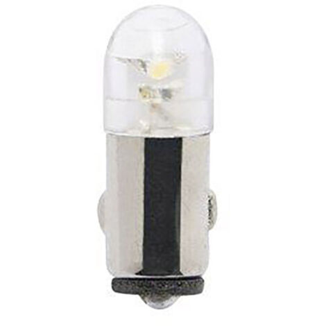 Kash 184050 Taschenlampen Leuchtmittel 3 V/DC 0.12 W Sockel P13.5s 1 St. 
