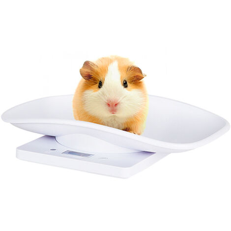 Báscula electrónica para mascotas, báscula digital pequeña, báscula de precisión con pantalla LCD de 10 kg/1 g, herramienta de pesaje para cocina, gatitos, cachorros, tortugas, hámsteres