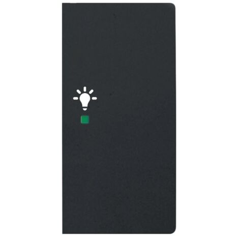 Bascule double avec symbole ’’lumière’’ à droit e noir mat