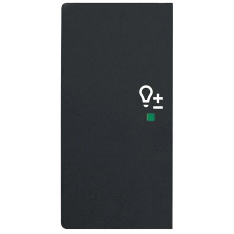 Bascule double avec symbole ’’variateur’’ à gauche noir mat