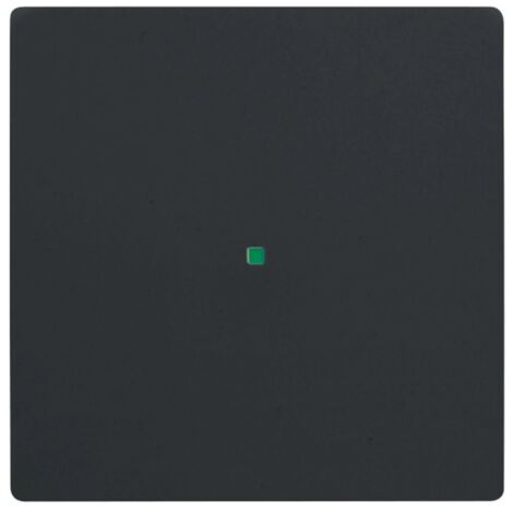 Bascule simple sans marquage noir mat