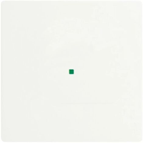 Bascule simple sans marquage studio blanc mat