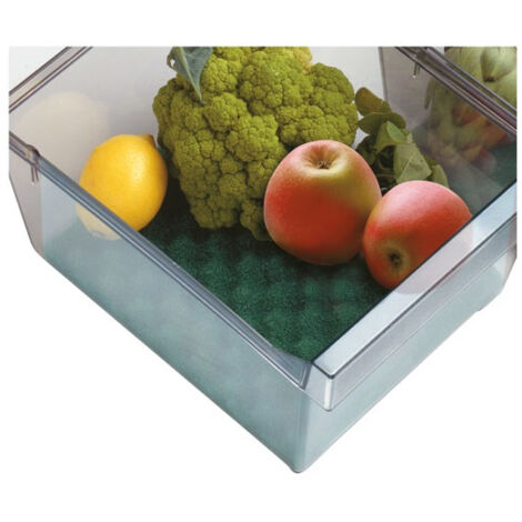 Base Conservante Pour Bac à Frigo 47 X 30 Cm - Rayen