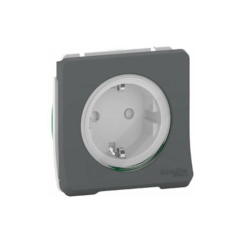 

Base Schuko componible IP55 Gris SCHNEIDER ELECTRIC MUR36135