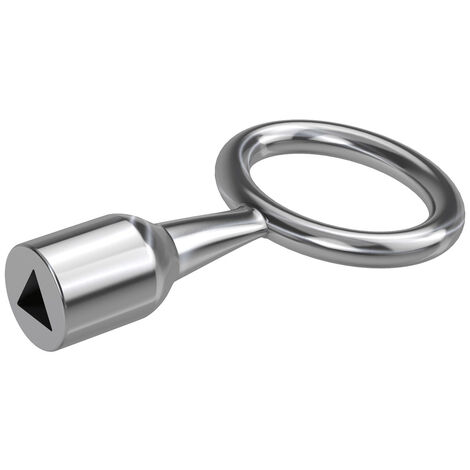 Basi 301D-8 Dornschlüssel Silber