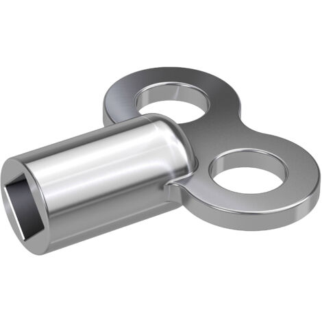 Basi 323 Clé d'évacuation pour radiateur R504081