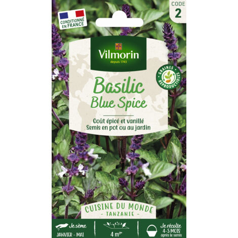 Basilic Blue Spice - Cuisine du Monde Vilmorin