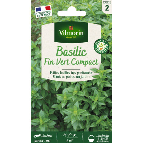Basilic Fin Vert Compact Vilmorin