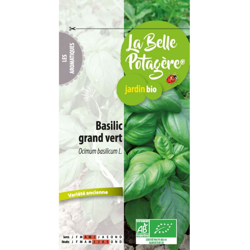 Ecodis - Basilic grand vert 0,5 g