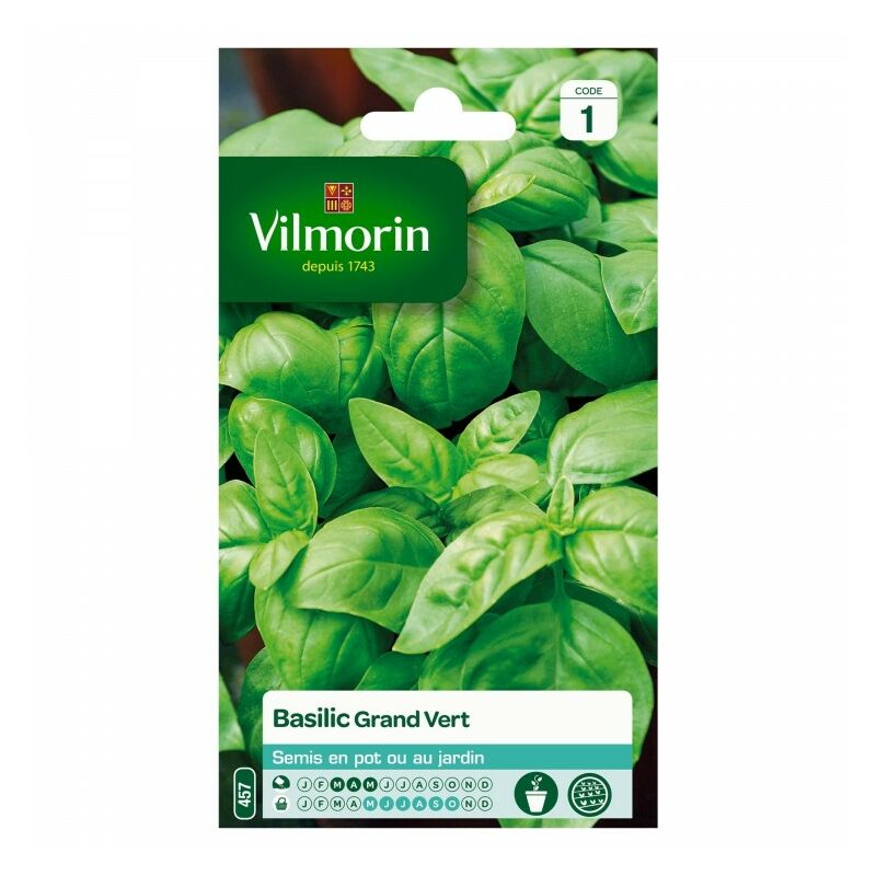 Vilmorin - Basilic Grand Vert