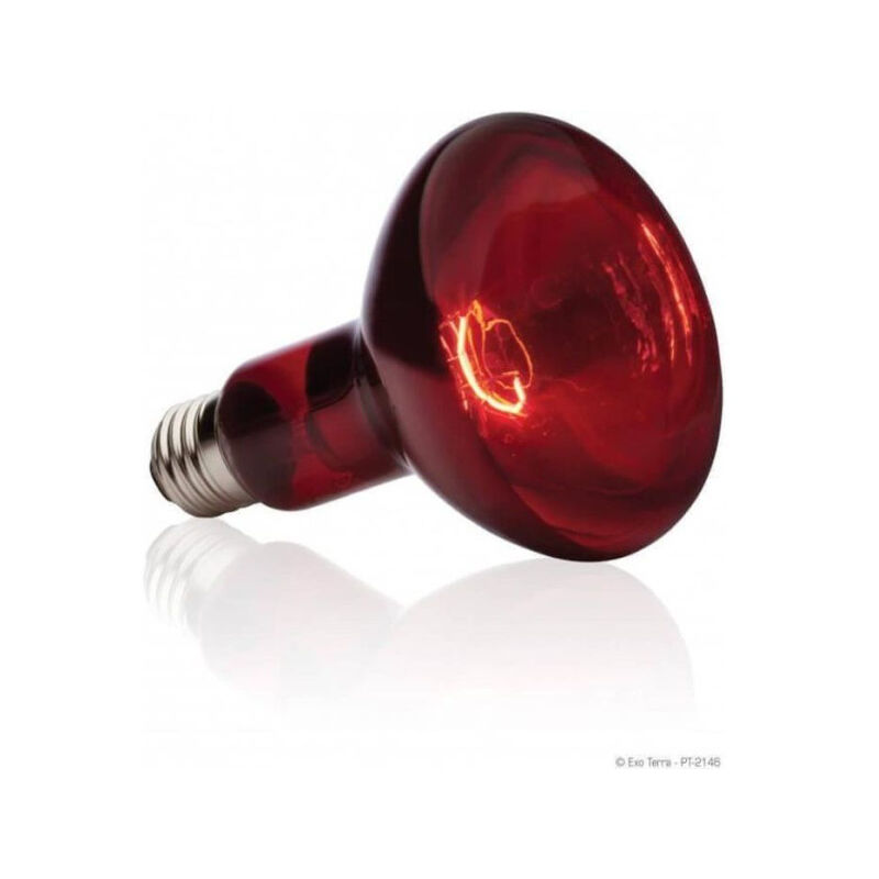 Exo Terra - basking spot lampe infrarouge 75 w