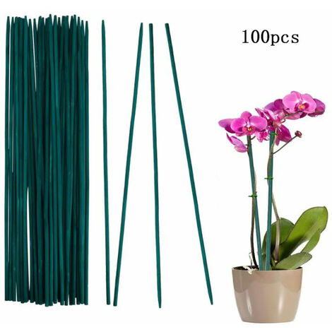 Bastoncini di supporto per piante - Confezione da 100 picchetti da 30 cm resistenti alle intemperie Paletto per pomodori da giardino per piante Piselli Supporto per verdure