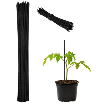 Bastoncini per fiori da 30 cm in set da 50
