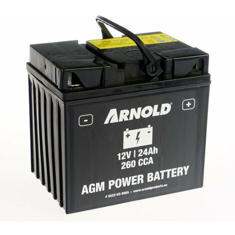 Vendita AGM 12-31, Batteria Moto EXIDE AGM 12 Volt 30Ah(10hr