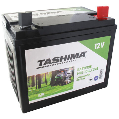 Batería Con Mant. Ácido No Incl.Volts 28Ah, C60-N24L