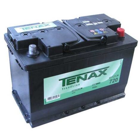 Batería de coche Ah 100 313X175 h 205 T69N Tenax