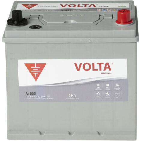 Batería de coche Volta ASIA PLUS 65Ah 600A Borne + dcha. Medidas 230x173x225mm