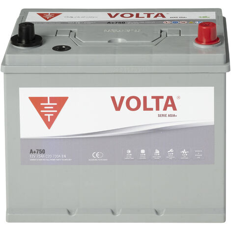 Batería de coche Volta ASIA PLUS 75Ah 700A Borne + dcha. Medidas 260x173x226mm