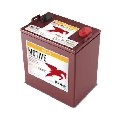 Batería TROJAN T875-AES AGM Cíclica 8V 169Ah