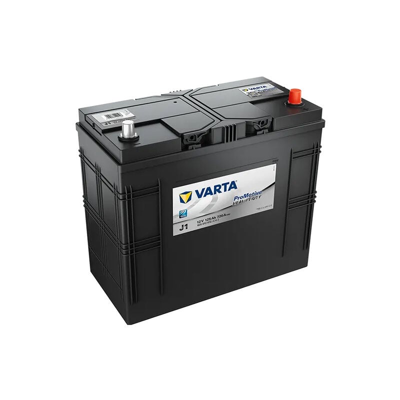 Varta - Batería J1 Promotive Black 125Ah 12v: Largo 349 x Ancho 175 x Alto 290mm