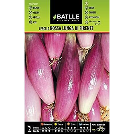 Batlle  Semi cipolla