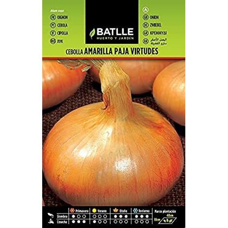 Batlle  Semi cipolla