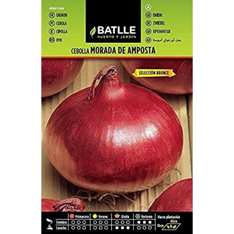 Batlle  Semi cipolla