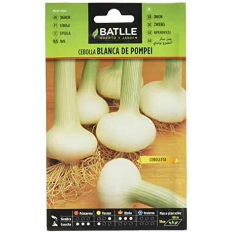 Batlle  Semi cipolla