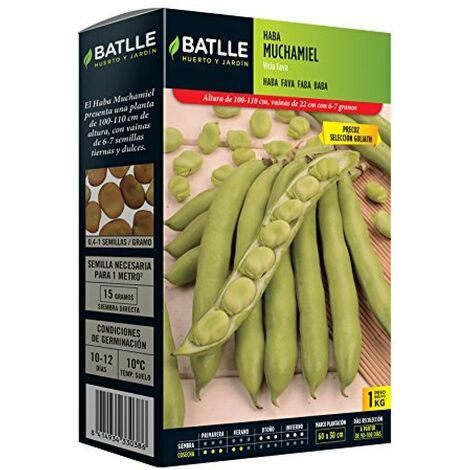 Batlle - Semi di fava