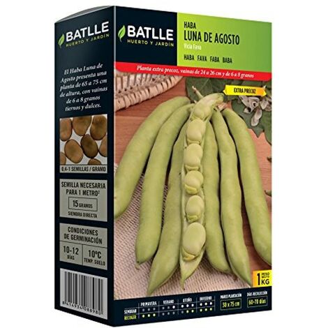 Batlle - Semi di fava