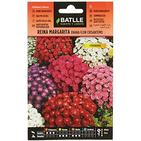 Batlle - Semi di Fiori - Astro della Cina Nano Crisantemo, Assortiti