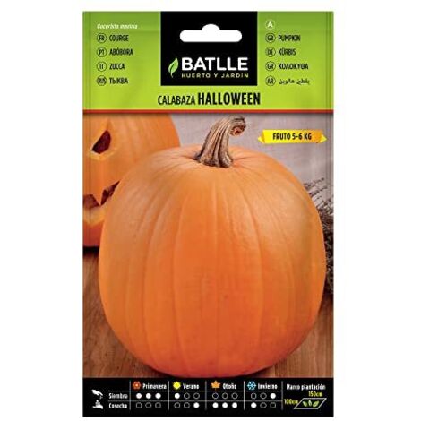 Batlle Semi di zucca