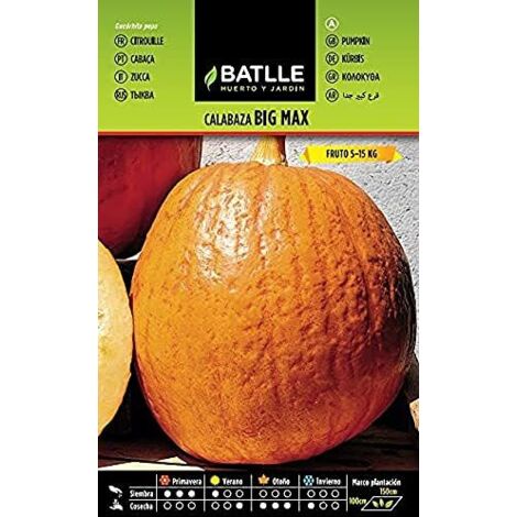 Batlle Semi di zucca