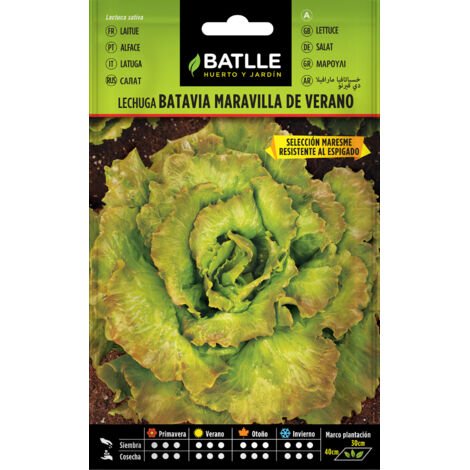 Batlle Semillas de Lechuga Maravilla de Vereno Maresme - 3 Bolsitas