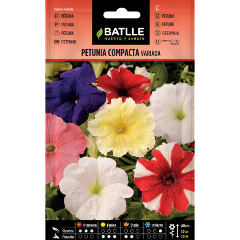 Batlle Semillas de Petunia Compacta Variada - 3 Bolsitas