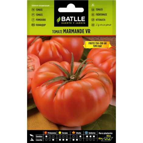 Batlle Semillas de Tomate Marmade VR Holanda - 3 Bolsitas