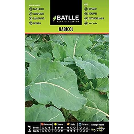 Batlle Vegetable Seeds - Turnips (Seeds)
