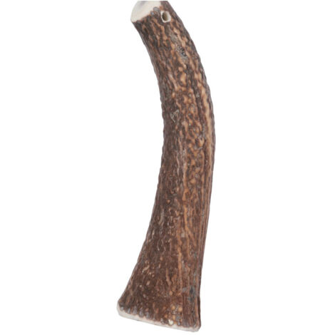 Bâton à mâcher Bois de Cerf Entier Hard XL, environ 18 cm, pour chien plus de 20 kg. - zolux