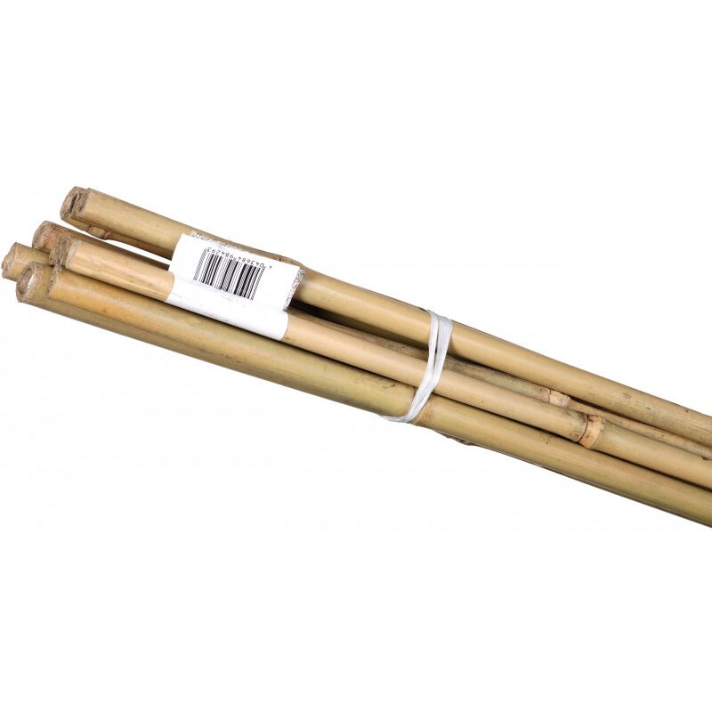 Baton de bambou 600x6-8 mm (10 pièces)