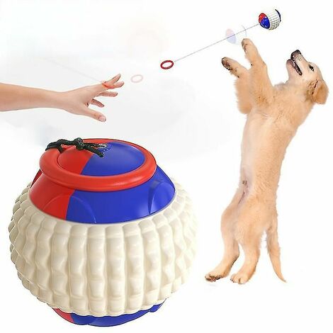 Baton de lancer pour animaux de compagnie avec balle Jouet de lancer de balle pour chien