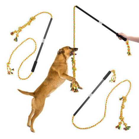 Bâton Télescopique pour Chien et Chat Longueur de corde 2,1 m