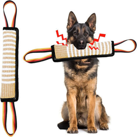 Bâtonnet à mâcher sonore pour chiens - Jouet dentaire avec grincement pour training et interaction
