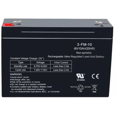 Batteria 6V 10Ah Ricambio Compatibile con Giochi Elettrici per Bambini