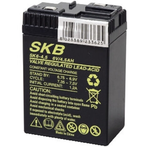 BATTERIA AGM Ermetica SKB 6V 4,5Ah