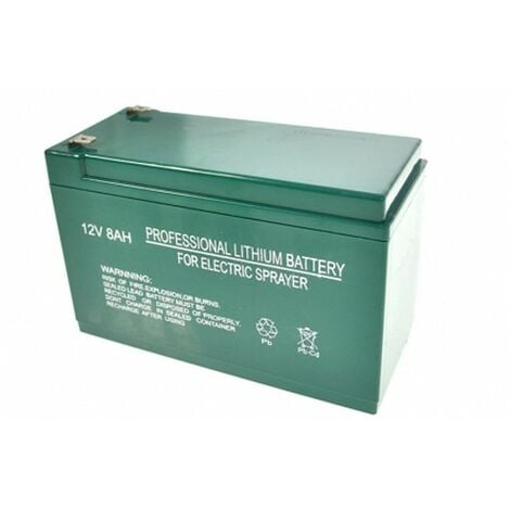 Batteria al litio da 12v a 8ah Burg, Trinagria compatbile