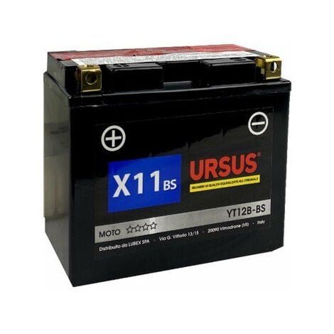 Batteria Lubex Ursus 100 AH ( 100 ampere ) - Idonea per abbacchiatori a  batteria