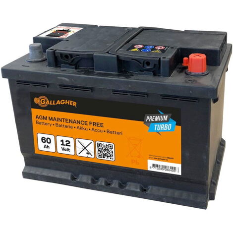 Batteria Gallagher Premium Turbo AGM 12V/60Ah per elettrificatori e rencinti elettrici