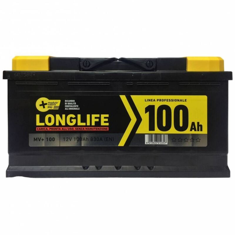 Batterie mv+100-810a