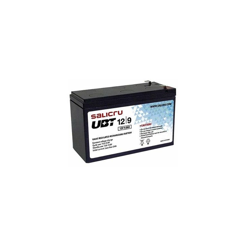Salicru 013BS000002 batteria UPS Acido piombo