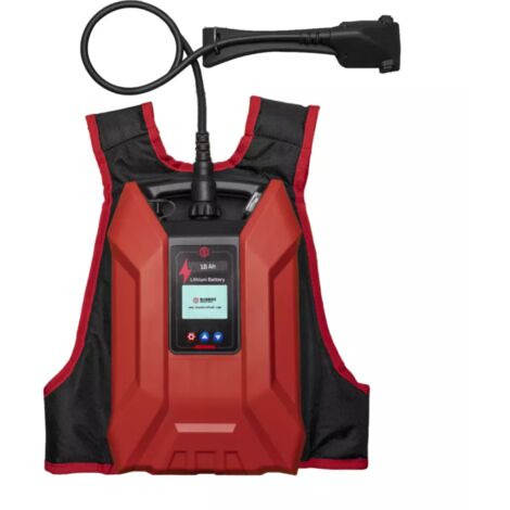batteria zaino bluebird 43.2v 18ah